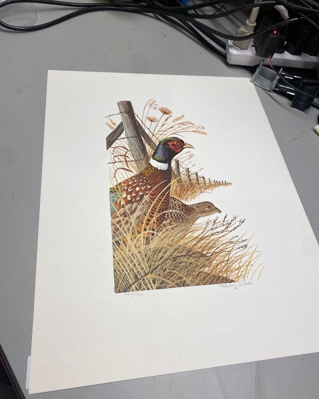 lot 296 image: Pheasant Print