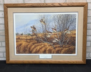 lot 26 image: Autumn Flush Framed Wildlife Print