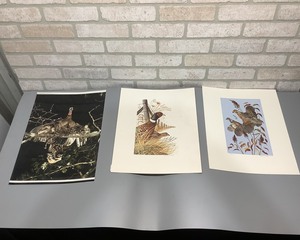 lot 34 image: Three Upland Birds Prints