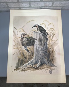 lot 35 image: Bird Picture