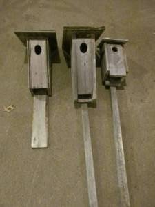 lot 123 image: birdhouses