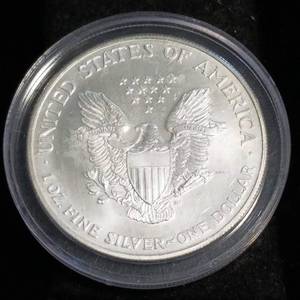 1999 COLORIZED AMERICAN SILVER EAGLE 1 TROY OZ. .999 FINE SILVER IN AIRTITE