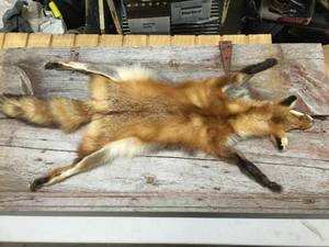 lot 34 image: Red Fox Fur Pelt