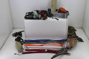 Dog Training Supplies