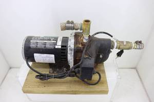 Wayne 34hs Shallow Well Pump