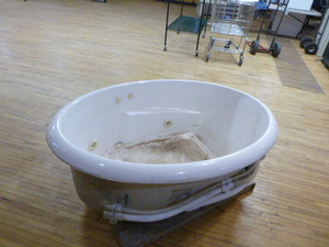 lot 200 image: Jetted Tub (Whirlpool)