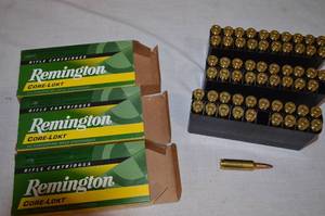Sportsman 255