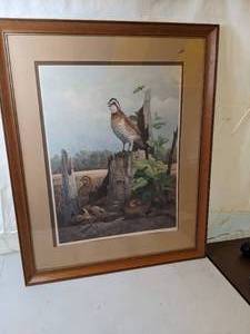 lot 213 image: Framed A.J. Rudisill Bird Print