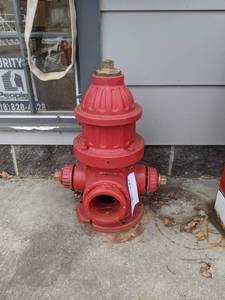 lot 38 image: RD Wood & Co Fire Hydrant