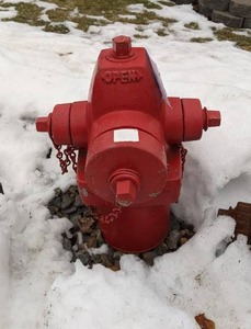 lot 34 image: Red Painted Fire Hydrant