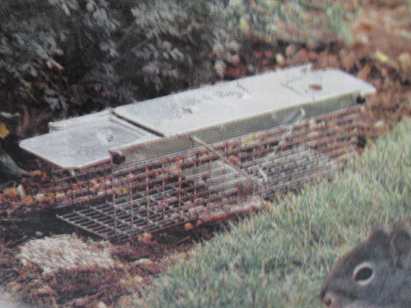 lot 108 image: Havahart Live Animal Cage Trap Smal...