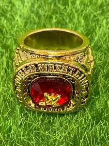 WW Wrestling Hall of Fame Replica Ring