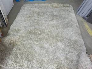 Area Rug 5 ft x 7 ft...