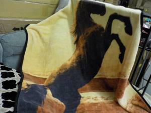 Eclipse Drapes, 52 x 84, rug, blank...