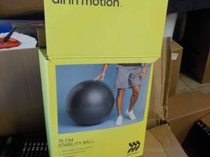 All in Motion Stability Ball...