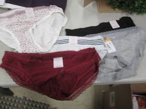 lot 49 image: 5- Medium Bikini Panties...