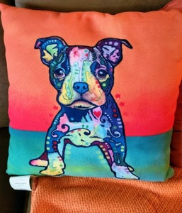 lot 23 image: Fun Throw Blankets and Pillows