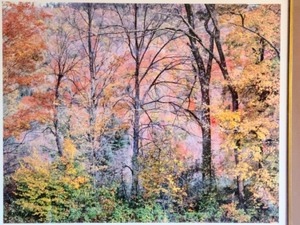 lot 39 image: Beautiful Framed Scenic Print
