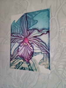 lot 66 image: Beautiful Framed Floral Print