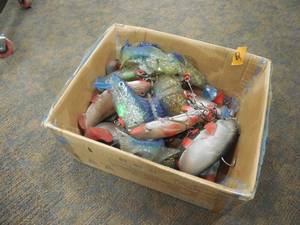 BOX LOT OF MUSKIE BAITS