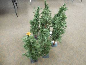 (7) 3 TREES WITH BASE