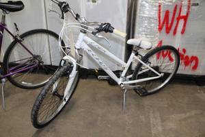 lot 172 image: Apex RHS Girls  19 Trail Bike