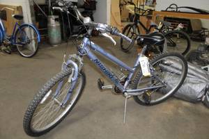 lot 176 image: Nishiki  Girls  22 Trail Bike