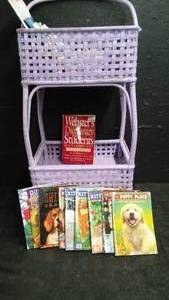 WICKER BASKET AND PRE TEEN BOOKS.