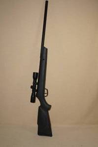 lot 101 image: Hornet Break Action Pellet Gun