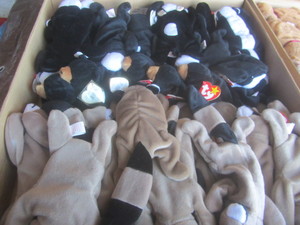 Ty Beanies