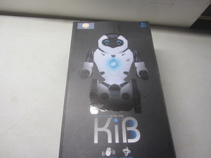 RC Self Balancing KiB