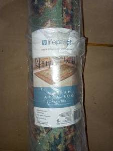 Mariah Aquamarine 8 ft. x 10 ft. Area Rug by Home Decorators Collection- not used