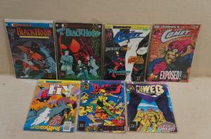 Impact Comics - Black Hood, Comet, Web, Fly