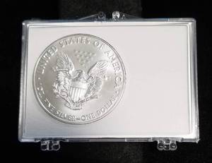 CHRISTMAS 2020 AMERICAN SILVER EAGLE IN CASE
