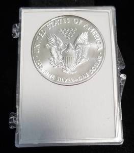 CHRISTMAS 2020 AMERICAN SILVER EAGLE IN CASE