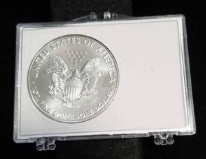 CHRISTMAS 2020 AMERICAN SILVER EAGLE IN CASE