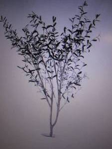 76.5x 30 Artificial Olive Tree in...