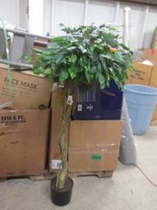 Faux Potted Ficous Tree...