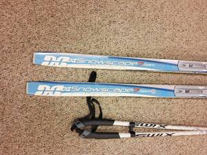 lot 113 image: Cross county skis