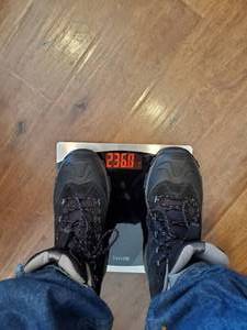 lot 162 image: Taylor Digital Weight Scale