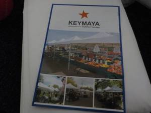 Keymayo Outdoor Replacement Canopy...