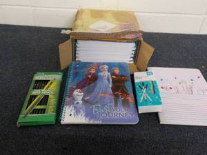 Frozen Notebooks, Pencils and Pens...