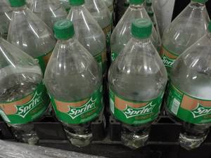 8 - 2 Liter Bottles Sprite Ginger ...