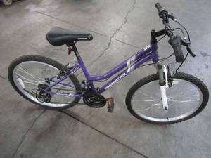 lot 44 image: 24 Girls Roadmaster Granite Peak, PurpleWhite Mountain Bike - Flat Tire
