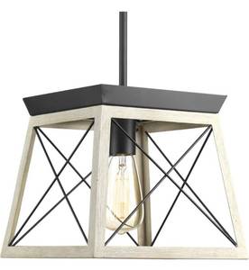 PROGRESS LIGHTING Briarwood Collection One-Light Mini-Pendant