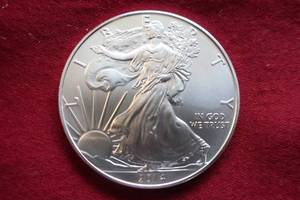 2014 American Silver Eagle