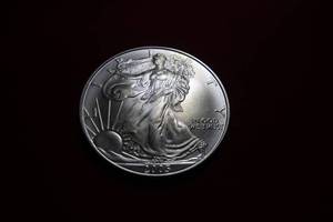 2005 American Silver Eagle
