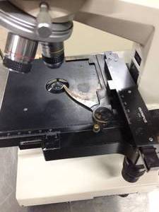 lot 4 image: OLYMPUS CH POWERED&nbspRESEARCH BINOCULAR MICROSCOPE WITH 3 OBJECTIVES - GREAT WORKING CONDITION