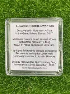 Genuine Lunar Meteorite (very rare)