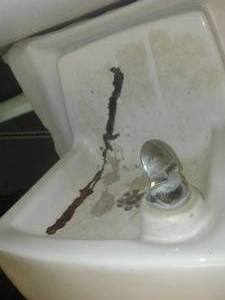 lot 455 image: Vintage Crane Porcelain Drinking Fountain.